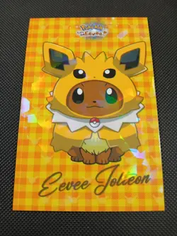 Pokemon Let's Go Eevee Database Peru Jolteon Eevee Flannel Poncho US Seller - Image 1