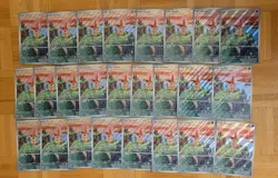 (25) Victini SVP208 Jumbo Pokemon CARD Black Star Promo Pokemon LOT OF 25 FRESH - Image 1