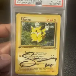 Pokemon 1999 Jungle 1st Edition - Pikachu 60/64 - PSA 8 auto 10 Sarah natochenny - Image 3