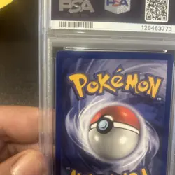 Pokemon 1999 Jungle 1st Edition - Pikachu 60/64 - PSA 8 auto 10 Sarah natochenny - Image 5