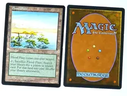 Magic the Gathering * MTG * 1 X Flood Plain * Mirage * LP - Image 1