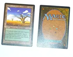 Magic the Gathering * MTG * 1 X Grasslands * Mirage * LP - Image 1