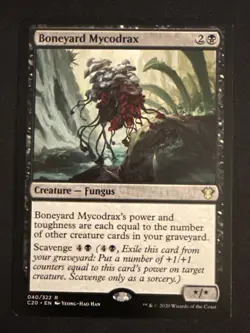 1x Boneyard Mycodrax (040) Commander 2020] LP MTG Magic the Gathering x1 MKE - Image 1