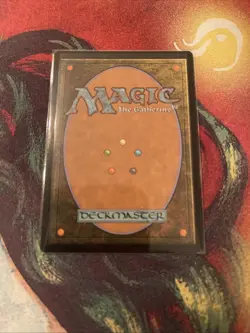 Misty Rainforest Zendikar Expeditions Foil NM Excellent Condition - Image 3