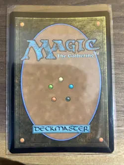 Rain-Slicked Copse - Surge Foil Teenage Mutant Ninja Turtles MTG - Image 3