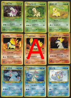 Pokemon Neo Premium File 1 Promo Folder 9 Card Set Japanese - Image 3