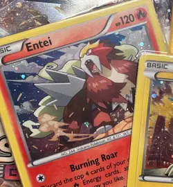 2017 Pokemon Legendary Dogs 2-Pack Blister XY & Sun Moon - Entei Raikou Suicune - Image 4