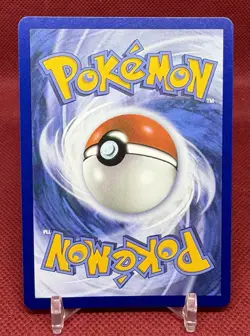POKEMON First Partner 30th Anniversary Promo Pack Complete Set NM/M - Image 3