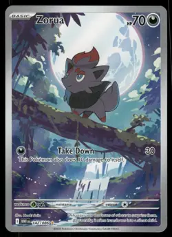 Pokemon Cards Zorua 142/086 White Flare Illustration Rare NM - Image 1