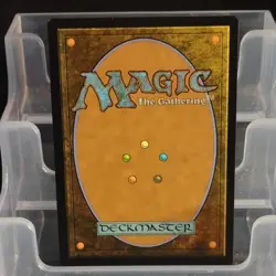 Magic: The Gathering Raph & Leo, Sibling Rivals Showcase Foil TMNT - Image 2