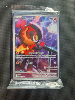Charcadet MEP022 Pokemon Center Stamped Black Star Promo SEALED - Image 1