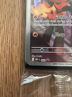 Pokemon TCG Charcadet MEP022 Black Star Promo Pokemon Center Stamped Card sealed - Image 3