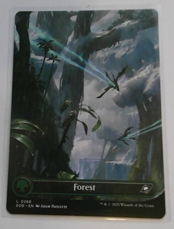 Forest (0266) (Borderless) Edge of Eternities Regular - Image 1