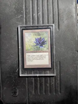 Black Lotus Collection Lot MUST GO - Image 1