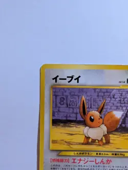 Pokemon TCG Eevee No.133 Neo Premium File 2 Japanese Edition 2000 MP - Image 2