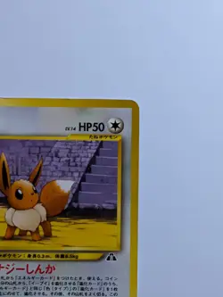 Pokemon TCG Eevee No.133 Neo Premium File 2 Japanese Edition 2000 MP - Image 3