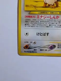 Pokemon TCG Eevee No.133 Neo Premium File 2 Japanese Edition 2000 MP - Image 4