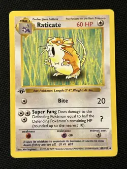 Pokemon Raticate 040/102 (1st Edition) (Shadowless) (NEVER PLAYED) *Near Mint* - Image 1