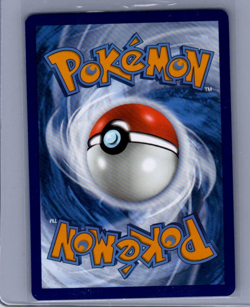 Raging Bolt Ex SVP145 - Pokemon TCG Scarlet & Violet Promo Holo NM - Image 2