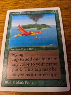 MTG Birds of Paradise - Unlimited Edition (2ED) - Rare - 1993 - MP/LP - Image 1