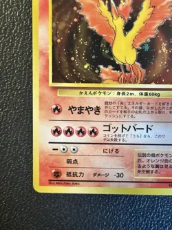 Moltres Japanese No 146 Holo SWIRL Pokemon - Image 5