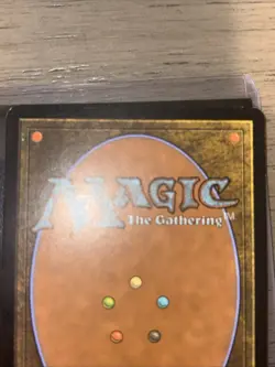 Magic The Gathering Misty Rainforest #220 Zendikar Regular AA - Image 5