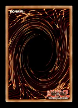 Yugioh DPYG-EN009 Big Shield Gardna 1st Edition Common Effect - Image 2