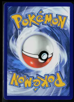 Charizard ex 054/091 Double Rare Paldean Fates Pokemon NM - Image 2