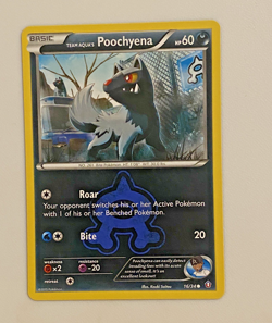 Pokemon Team Aqua's Poochyena Card NM/M DOUBLE CRISIS - Image 1