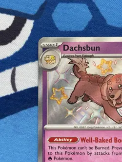 Dachsbun 161/091 - NM condition - Pokemon Scarlet Violet Paldean Fates Holo Card - Image 2