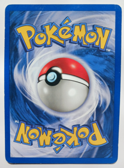 Pidgeot Pokemon Card Holo WOTC 8/64 Jungle Set Rare Vintage 1999 Original LP-NM - Image 2