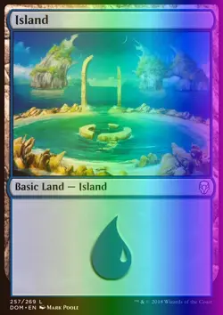 MTG Magic the Gathering Island (257/296) Dominaria LP FOIL - Image 1