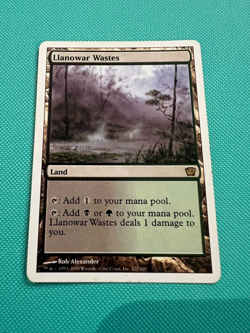 llanowar wastes - 9th edition - MTG - Magic the Gathering - Image 1