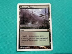 llanowar wastes - 9th edition - MTG - Magic the Gathering - Image 2