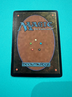 llanowar wastes - 9th edition - MTG - Magic the Gathering - Image 3