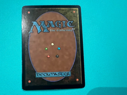 llanowar wastes - 9th edition - MTG - Magic the Gathering - Image 4