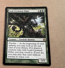 Leaf-Crowned Elder - Morningtide - MTG - Magic the Gathering - Image 2