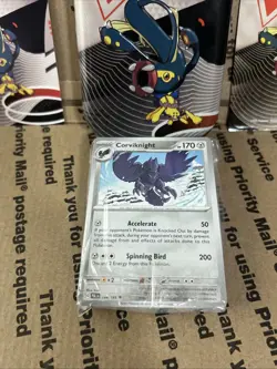 Pokemon Unova Mini Tin Empty | Common Lot of 40 Cards - Image 3