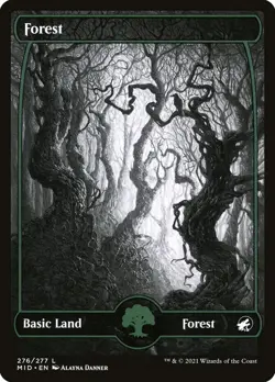 MTG Forest (276) Showcase Full Art ** Innistrad: Midnight Hunt ** English (NM) - Image 1
