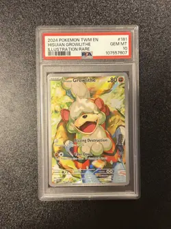 Hisuian Growlithe 181/167 Pokemon Twilight Masquerade Illustration Rare PSA 10 - Image 1