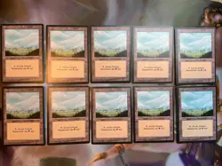 10x German Fbb • Plains • NM • Basic Land • Mtg - Image 2