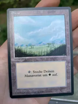 10x German Fbb • Plains • NM • Basic Land • Mtg - Image 4