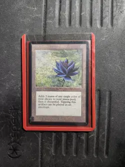 Black Lotus Collection Lot MUST GO - Image 1