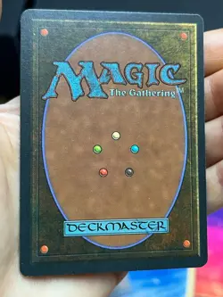 5x German Fbb Forest • Unplayed / Mostly Clean • Basic Land • Mtg - Image 4