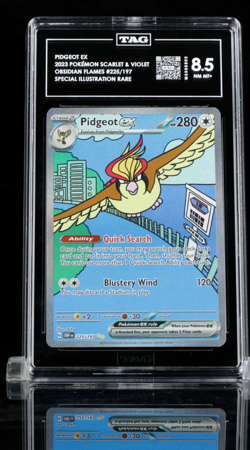 Pidgeot ex (Illustration Rare) 225/197 Pokemon Scarlet & Violet Obsidian Flames - Image 3