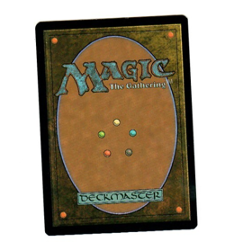 Valley Floodcaller Foil Rare Creature Magic The Gathering Bloomburrow - Image 2