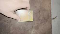 Sliver Legion X1 Mtg Future Sight Lp - Image 2