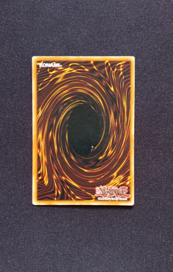 Yu-Gi-Oh! "Blue-Eyes White Dragon" SKE-DE001 *Ultra Rare* NM/LP - 1. Auflage - Image 2