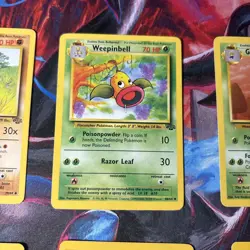Jungle Vintage Pokemon Non Holo Unlimited Card Lot 6 Cards Old Sets Rare #7 - Image 3