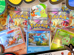 Pokemon TCG Ascended Heroes First Partners Deluxe Pin Collection Sealed OVP - Image 2